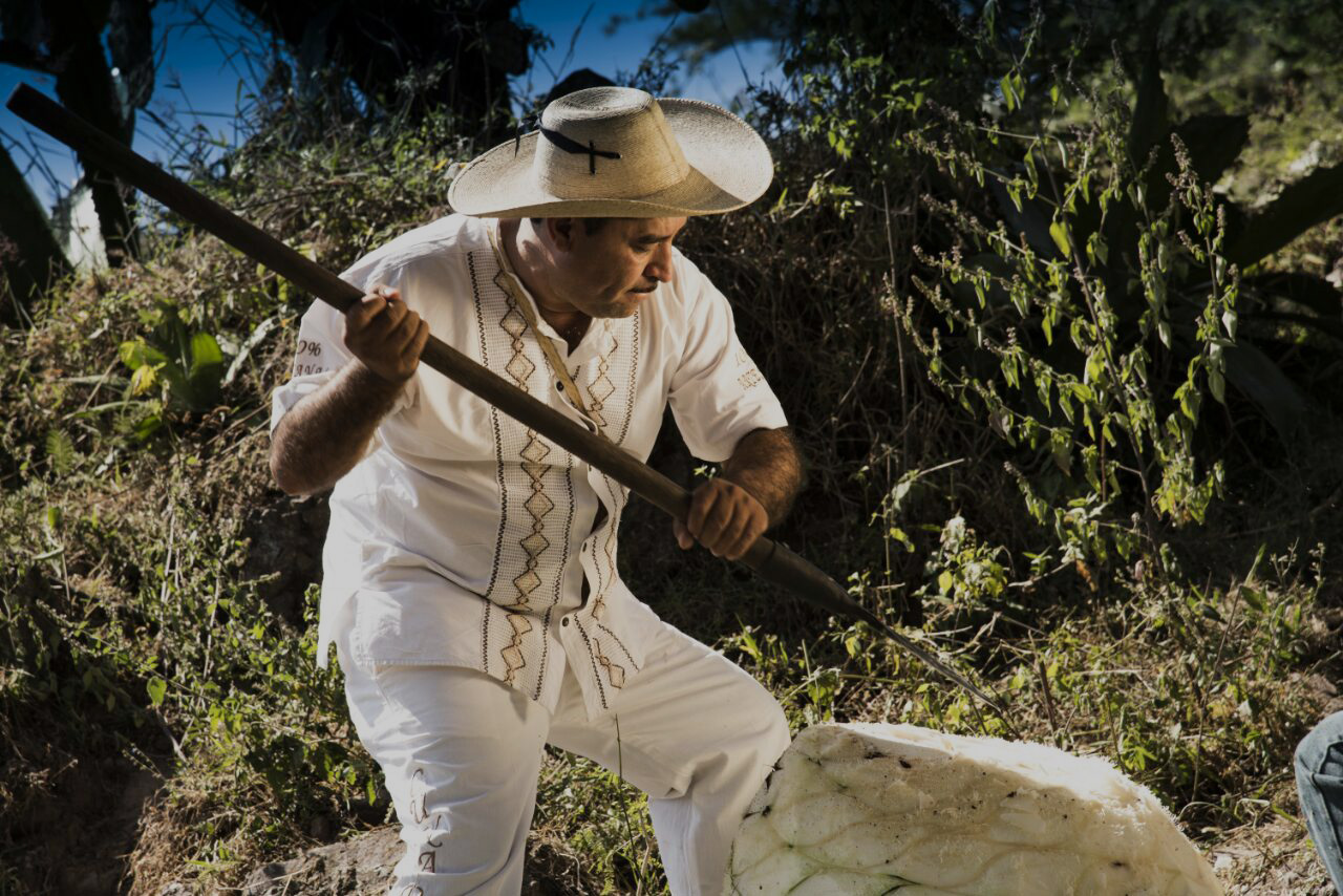 Maestro Mezcalero